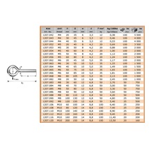 Oko se závitem M8x60   Zn 1207.086