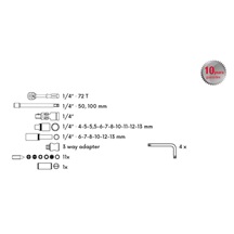 Sada gola 1/4" 36ks 17231