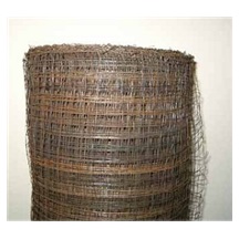 Pletivo rabicové 16x16/1,0m bal. 25m