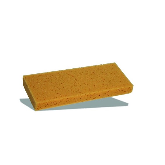 Houba mořská 250x130x30mm
