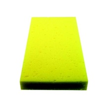 Houba mořská 250x130x30mm