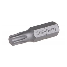 Bit TORX 10x25mm  (prodej po balení)