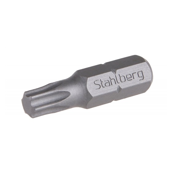 Bit TORX 20x25mm  (prodej po balení)