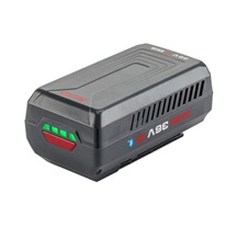 Baterie Li-Ion 36 V / 8 Ah / 288 Wh