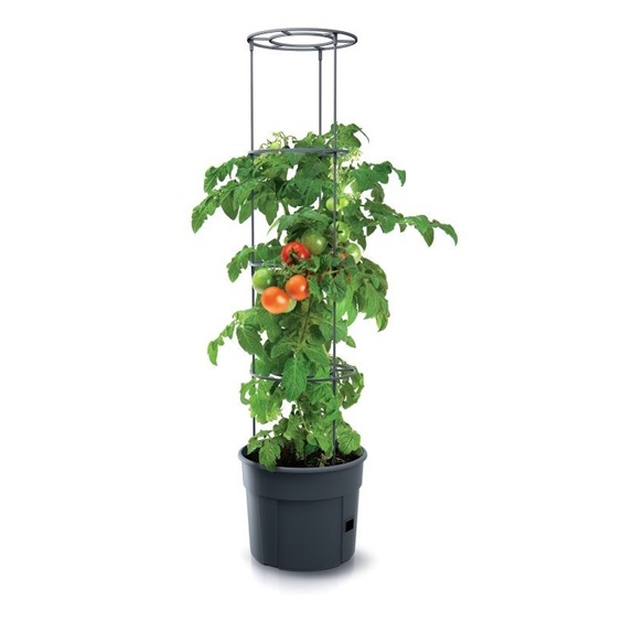 Květináč na pěstování rajčat TOMATO GROWER antracit 39,2cm (max. výška: 153cm)