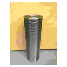 Síť svařovaná  10x10/1,0mm/1m  NEREZ