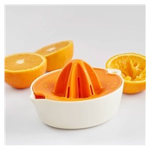 Lis na citrusy