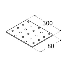 destička perforovaná 300x80x2,0 mm