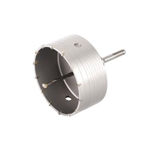 Korunka vykružovací s SK plátky 150mm SDS plus       24759