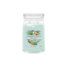 Svíčka YC CANDLE ALOE & AGAVE SIGNATURE VELKÝ
