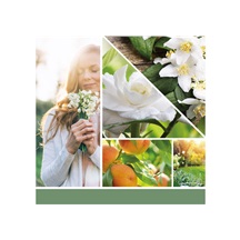 Svíčka YC CANDLE WHITE GARDENIA SIGNATURE VELKÝ