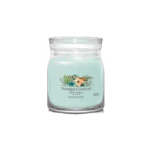 Svíčka YC CANDLE ALOE & AGAVE SIGNATURE STŘEDNÍ