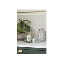 Svíčka YC CANDLE ALOE & AGAVE SIGNATURE STŘEDNÍ
