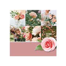 Svíčka YC CANDLE FRESH CUT ROSES SIGNATURE STŘEDNÍ