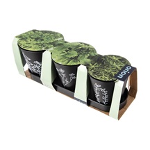 Květináč kov bylinky BLACK pr. 11 cm 3 ks+podtácek