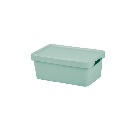 Box úložný MAYA XS s víkem Tontarelli - 4,2 l zelená