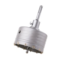 Korunka s SK plátky 100mm SDS plus       24718