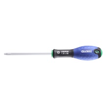 Šroubovák TORX T15x75 E160506