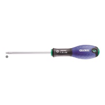 Šroubovák TORX TT15x75 E165395 s otvorem